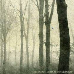 Blueneck : Scars of the Midwest
